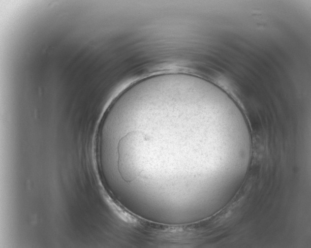 X0000064731098200602131244