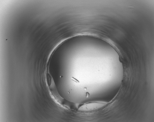 X0000064731100200602131244