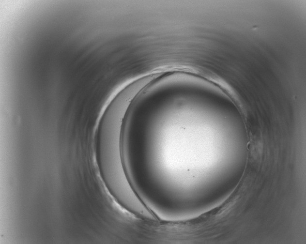 X0000064731102200602131244