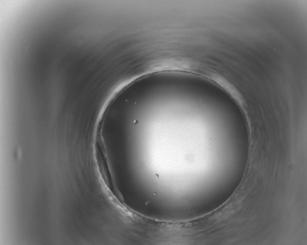 X0000064731104200602131244