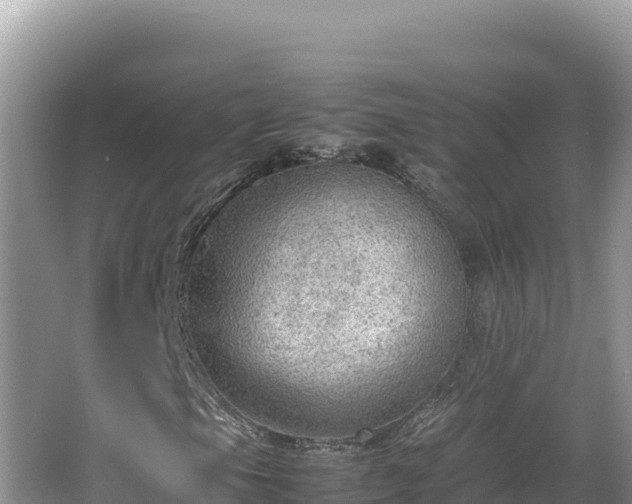 X0000064731105200602131243