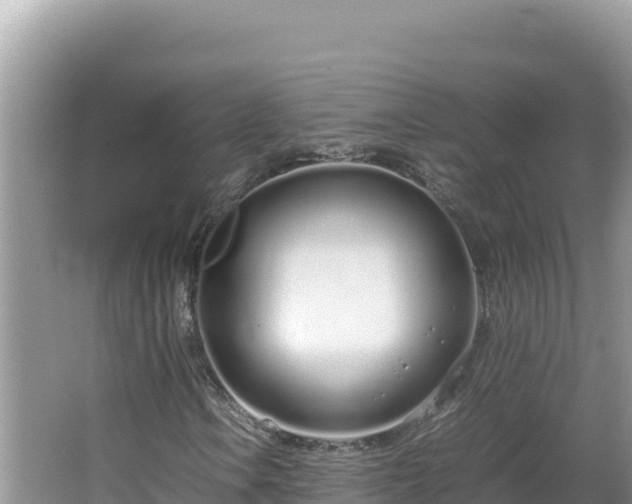 X0000064731106200602131243