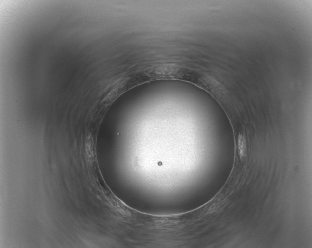 X0000064731107200602131243