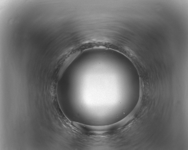 X0000064731110200602131243