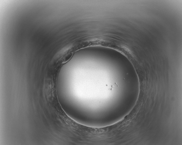 X0000064731111200602131243