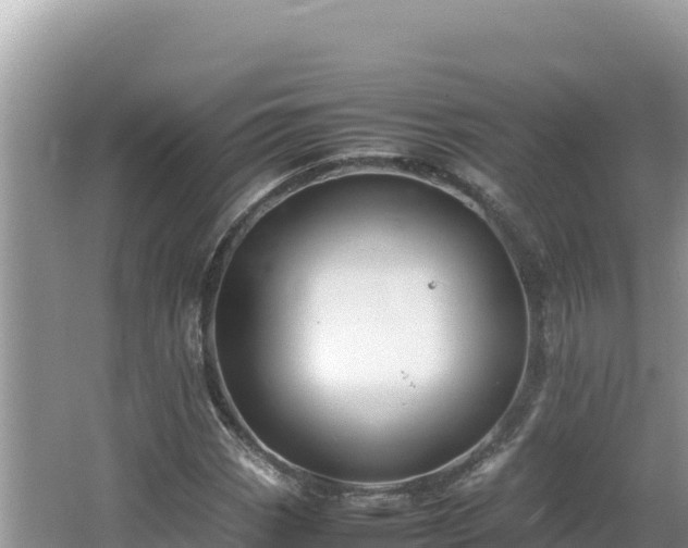 X0000064731113200602131243