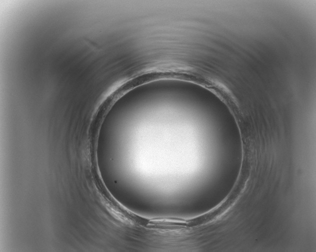 X0000064731114200602131243