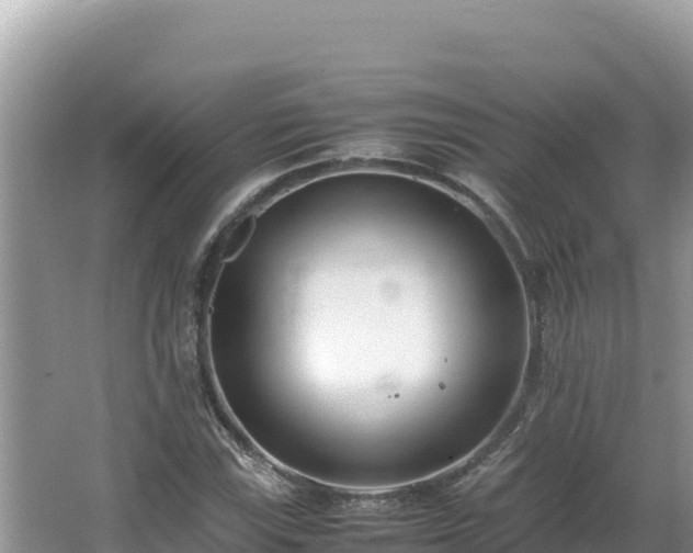 X0000064731115200602131243