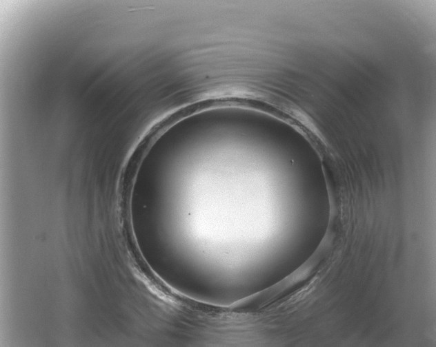 X0000064731116200602131243