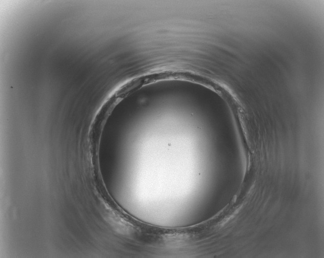 X0000064731118200602131243