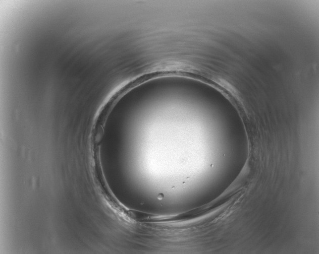 X0000064731120200602131243