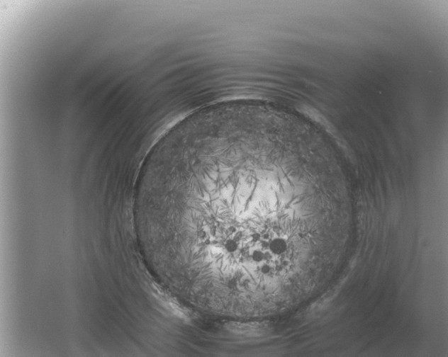 X0000064731121200602131243