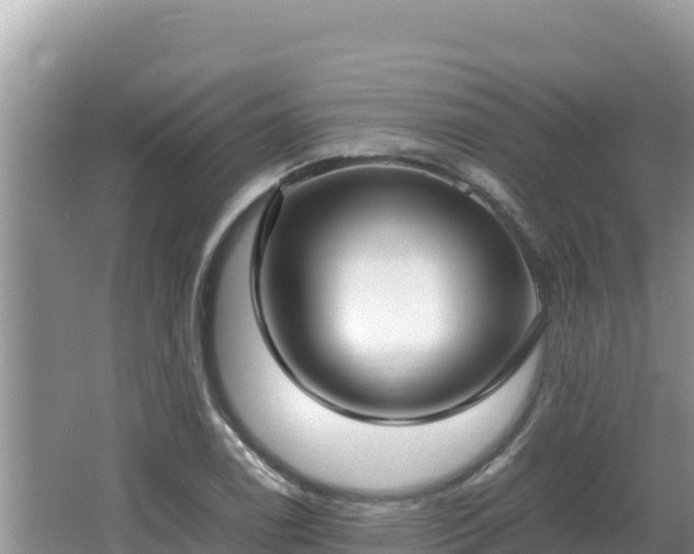 X0000064731122200602131243