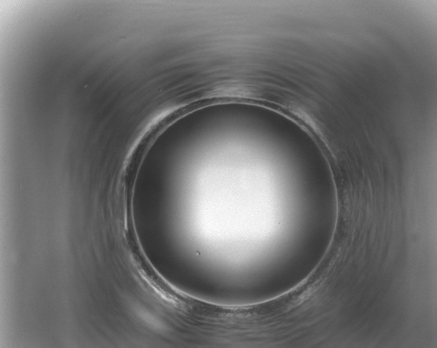 X0000064731123200602131243