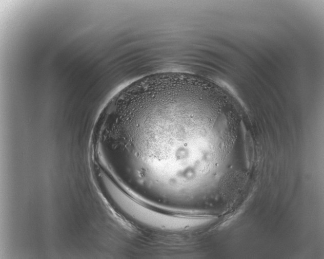 X0000064731125200602131243