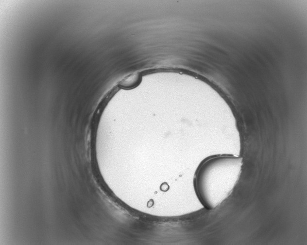 X0000064731126200602131243