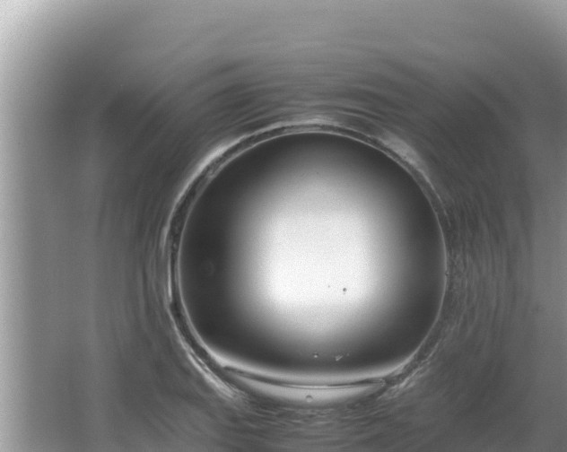 X0000064731127200602131243