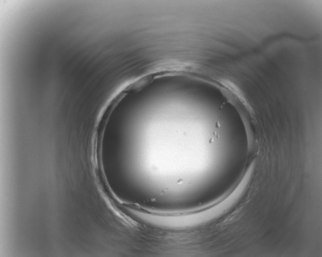 X0000064731128200602131243