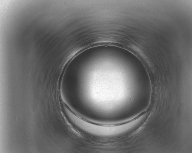 X0000064731129200602131243