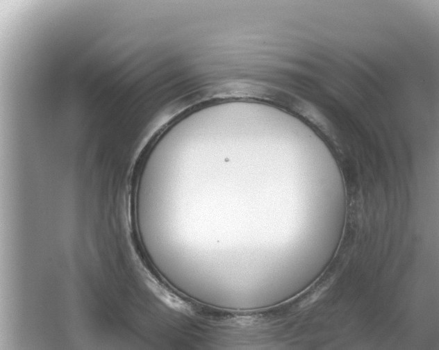 X0000064731130200602131243