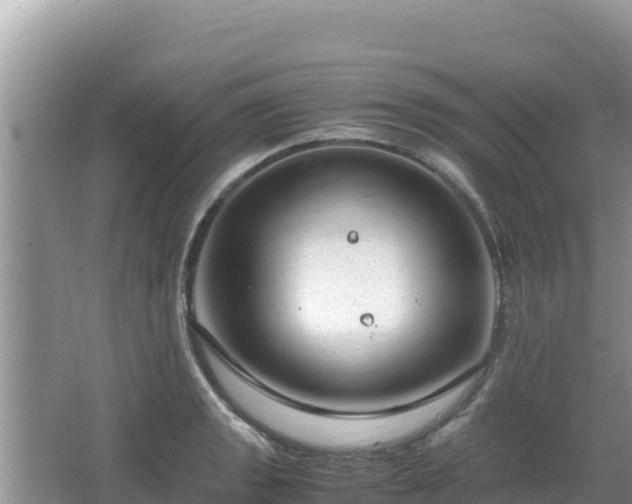 X0000064731133200602131243