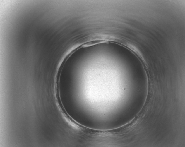 X0000064731136200602131243