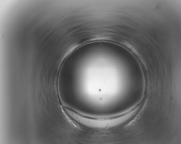 X0000064731137200602131243