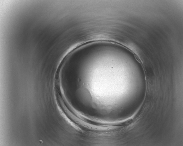 X0000064731142200602131243