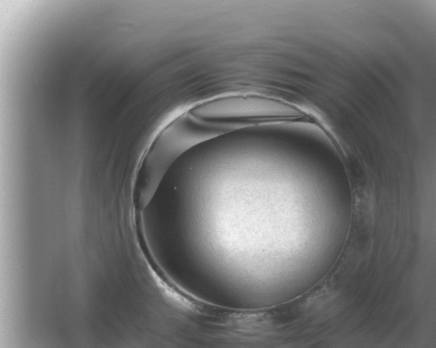 X0000064731143200602131243