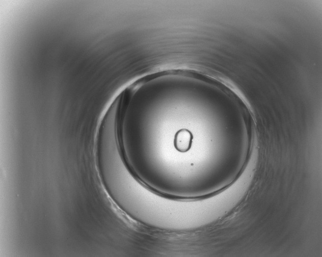 X0000064731148200602131243