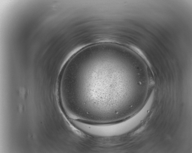 X0000064731149200602131243