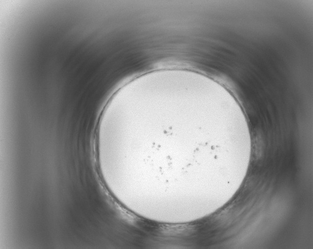 X0000064731150200602131243