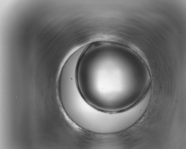 X0000064731152200602131243