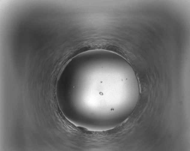 X0000064731153200602131243