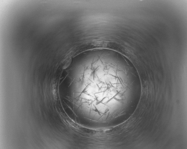 X0000064731154200602131243