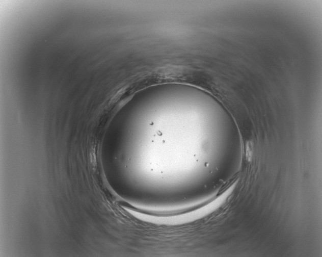 X0000064731155200602131243