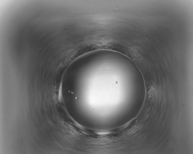 X0000064731156200602131243