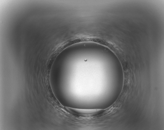 X0000064731157200602131243