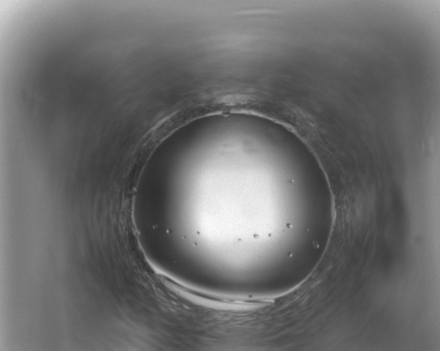 X0000064731158200602131243