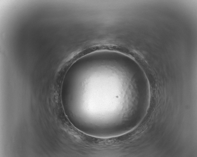 X0000064731159200602131243