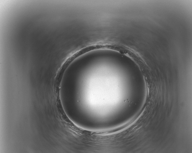 X0000064731160200602131243