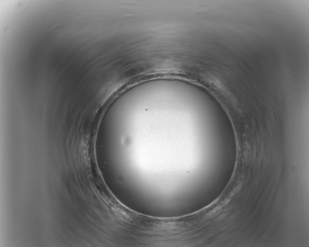 X0000064731162200602131243