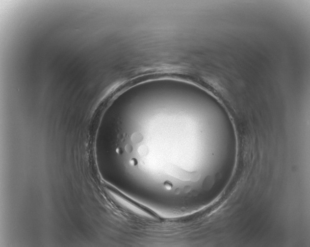 X0000064731163200602131243