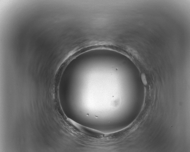 X0000064731165200602131242