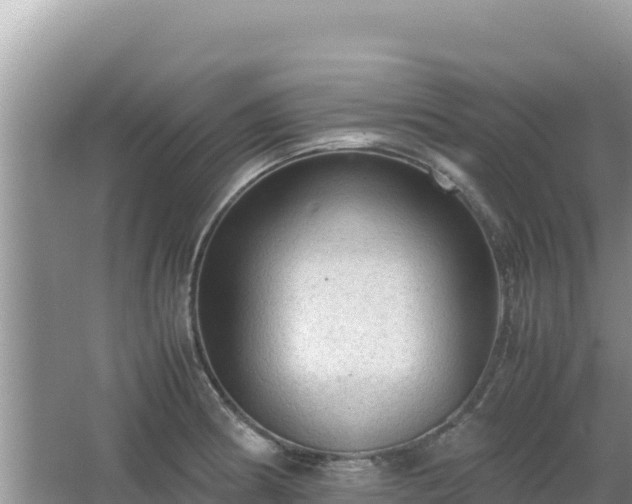 X0000064731186200602131242