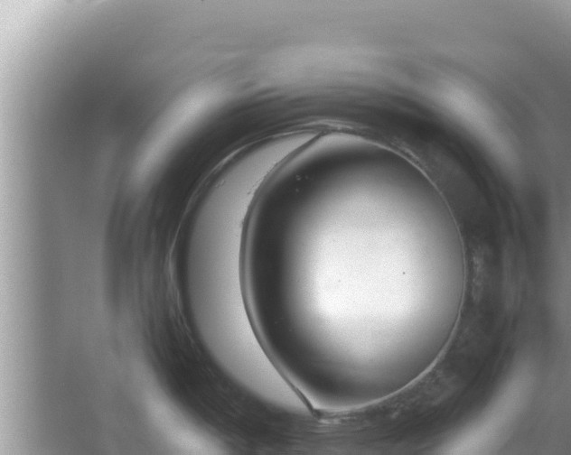 X0000064731198200602131242