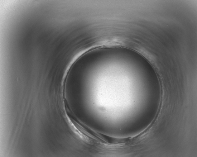 X0000064731200200602131242