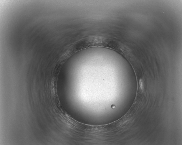 X0000064731203200602131241