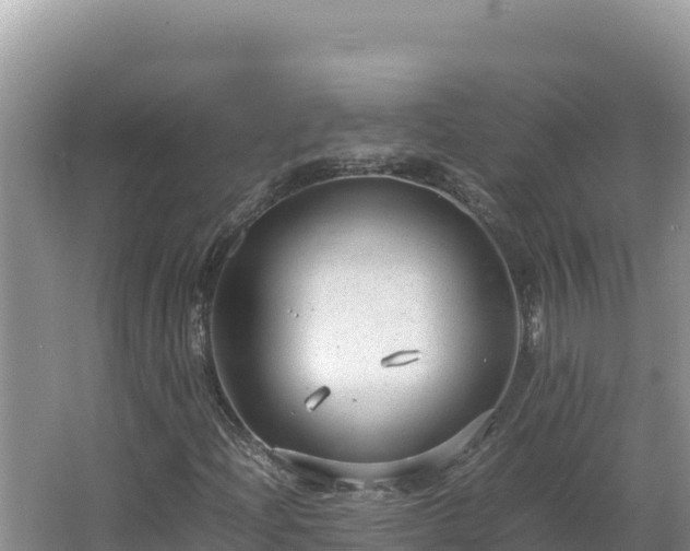 X0000064731204200602131241