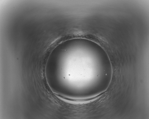 X0000064731205200602131241